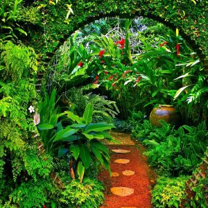 garden-wallpaper-8